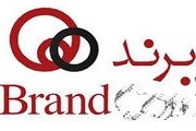 تولید داخل با برند ایرانی و یا برند خارجی؟