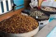 غذاهای عجیب در سراسر جهان به روایت تصویر