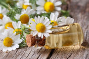 خواص بی نظیر بابونه
