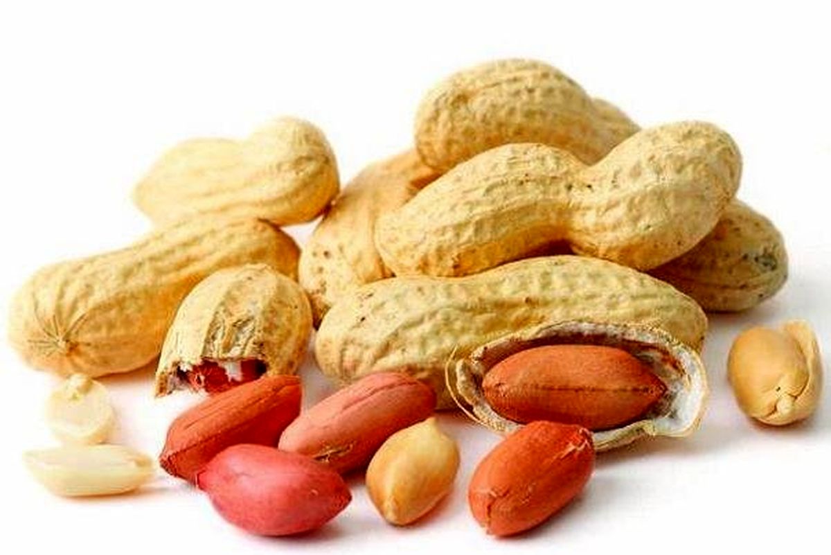 خوردن زیاد بادام زمینی ممنوع+ علت