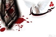 
شهادت سرباز گلستانی در مرز جکیگور سیستان
