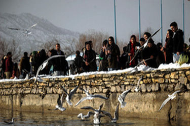 thm_1020475_789