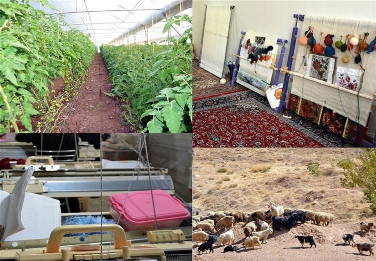 افتتاح ۱۴۲ هزار طرح اشتغال روستایی