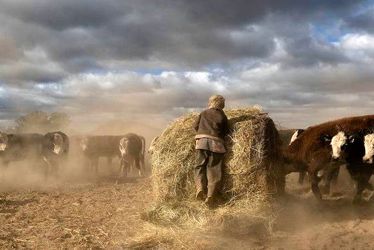 SFRrYpfS967G