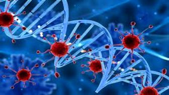 آخرین آمار مبتلایان به کرونا در جهان ؛ تایوان رتبه اول فوت ناشی از کرونا
