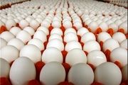 تخم مرغ بعد از شیر مادر دومین ارزش غذایی