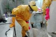حضور بانوان جهادگر در غسالخانه قم+ تصاویر