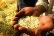 سرگردانی کشاورزان در سایه بی تدبیری