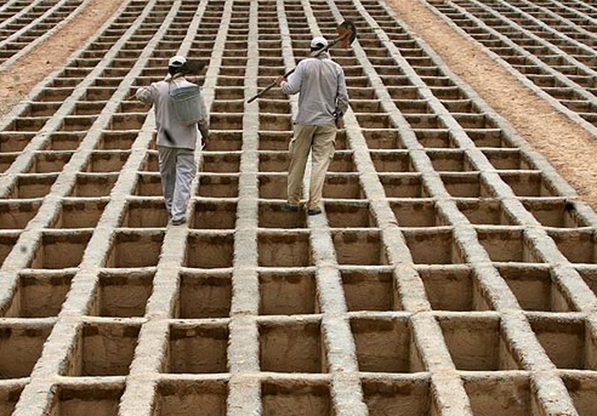 مرگ و میر بر اثر آلودگی هوا، افزایش یافته یا کاهش؟