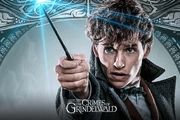5 فیلم پرفروش باکس آفیس/بازگشت خالقان هری پاتر به سینماها

