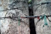 کهنسال‌ترین موجود زنده تهران با ۹۶ سال سن + عکس
