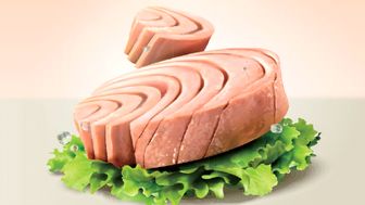 قیمت انواع تن ماهی در بازار