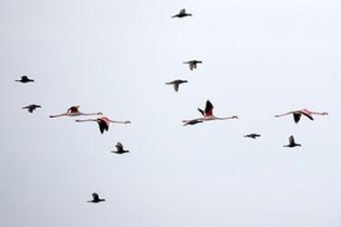 13951214001167636242323760693843_71658_PhotoU