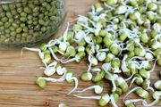 کنترل قند، فشار و چربی خون، با این گیاه خوشمزه