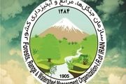 
98 درصد عرصه های منابع طبیعی در کرمانشاه سند دار شده اند