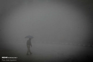 3421629_MJD_9956