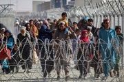 پناهجویان افغان: ما را به‌خاطر اوکراینی‌ها اخراج کردند