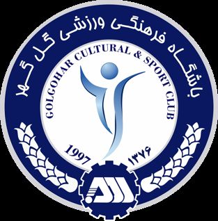 پاسخ عضو هیات مدیره گل‌گهر به ادعای استقلال 