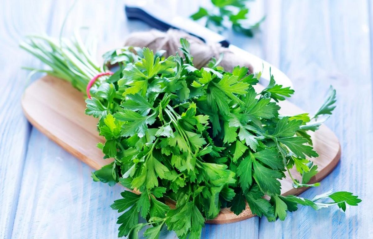 تاثیر معجزه آسای جعفری بر کلیه‌ها
