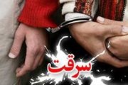 سارقی که سرقت شغل دومش بود