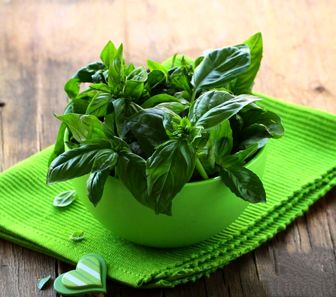 فواید بی نظیر برگ ریحان برای روز داران