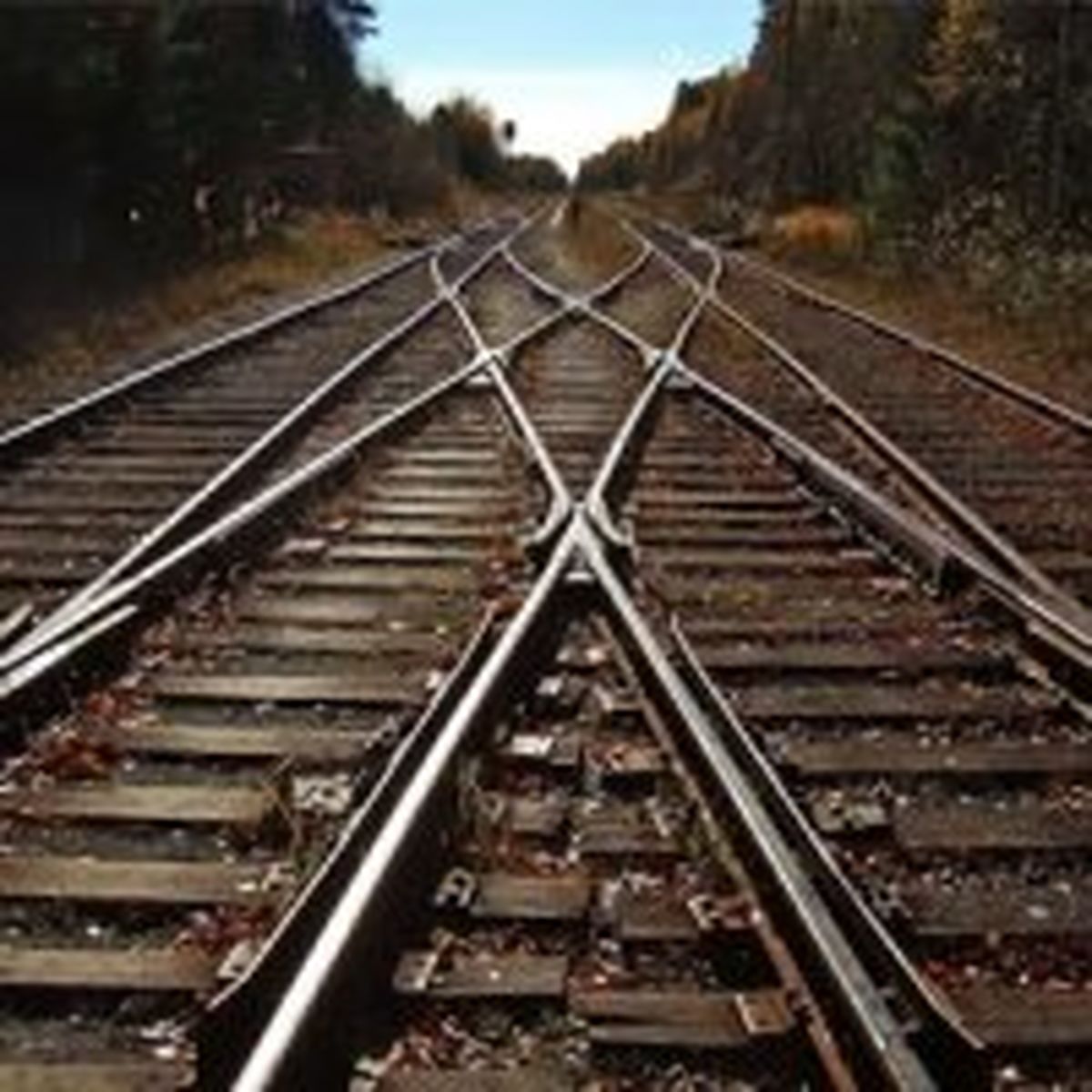 تازه‌ترین قربانی شرط‌بندی مرگ 