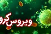شاهرود در منطقه سفید کرونا