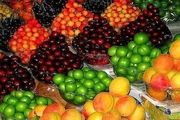 کمبودی در عرضه میوه و صیفی نداریم
