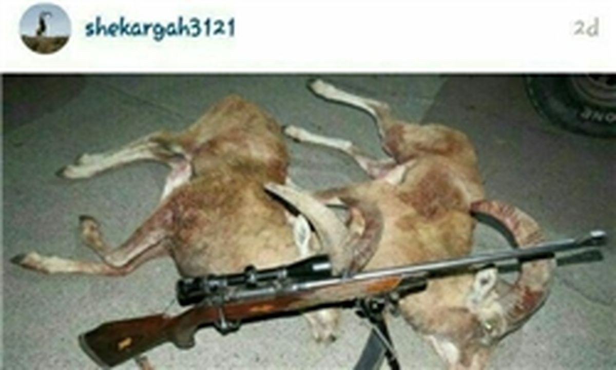 شکارگاه‌ مجازی مسدود شد