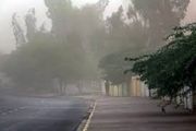
وزش باد شدید در جنوب و غرب تهران