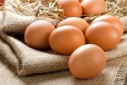 آمریکایی ها هم به گرانی 