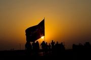 تصاویری ناب از پیاده روی اربعین در عراق/ گزارش تصویری
