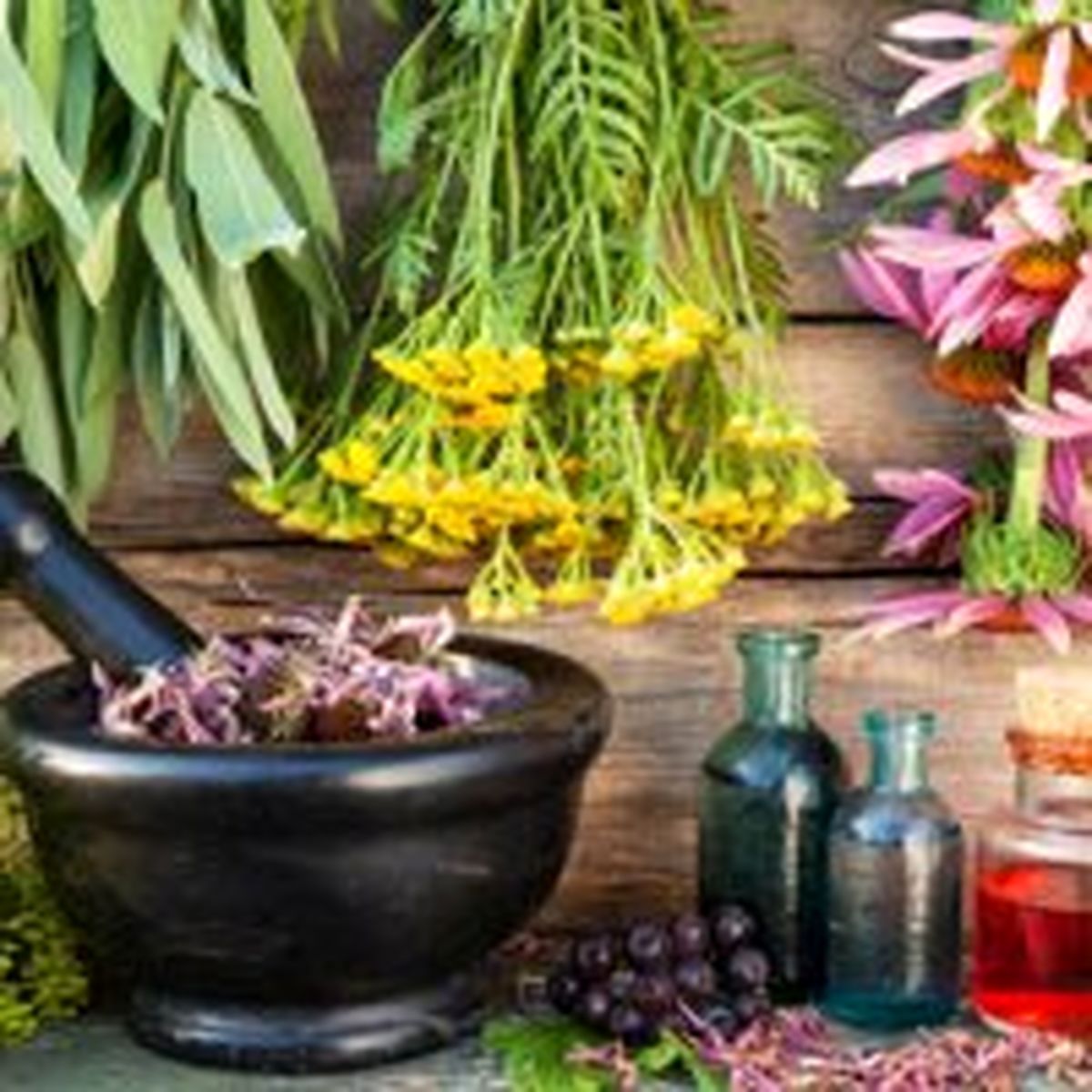 ۶ ترکیب بی‌نظیر گیاهی برای جذب بیشتر آهن را بشناسید