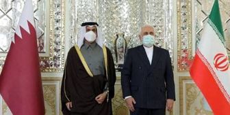 گفت‌وگو ظریف و همتای قطری در تهران