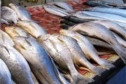 مصرف سموم سرطانزا در مزارع پرورش ماهی چقدر واقعیت دارد؟