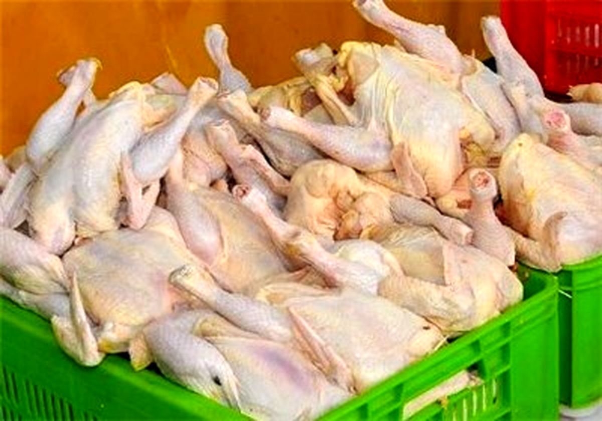 مرغ ارگانیک نداریم