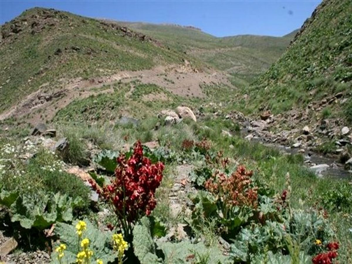 
مستند «اقلیم» نوروز ۹۸ به روی آنتن شبکه 3