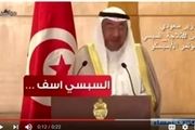 واکنش «سامح شکری» به اظهارات دبیر کل سازمان همکاری اسلامی