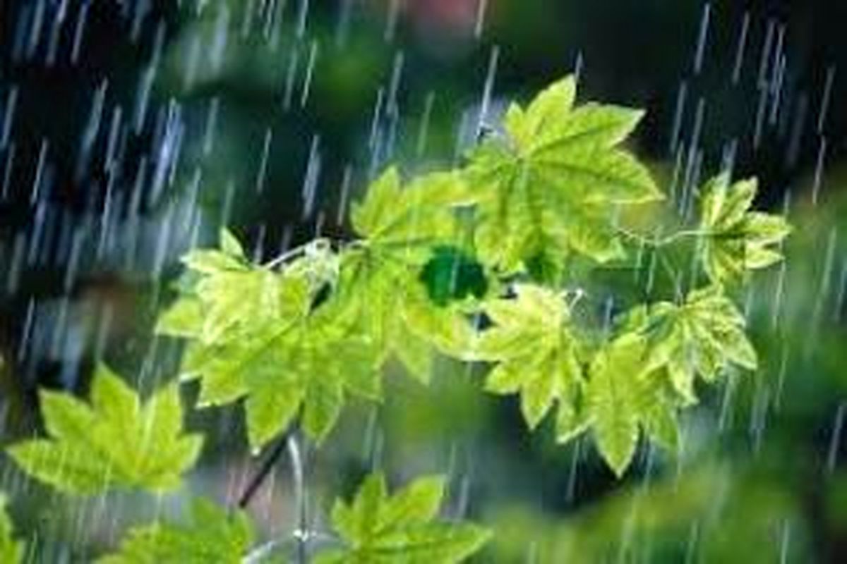 خوزستان
میزبان موج جدید بارش ها
