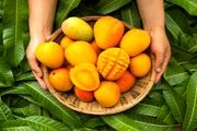 میوه‌هایی که بیشترین قند را دارند
