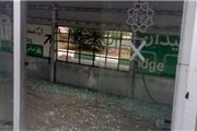 خانه دوچرخه ای که خانه گربه ها شده است!+ عکس