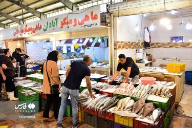 بازارماهی فروشان آبادان/گزارش تصویری