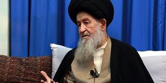 آیت‌الله علوی: فرهنگ فرزندآوری در جامعه ترویج شود