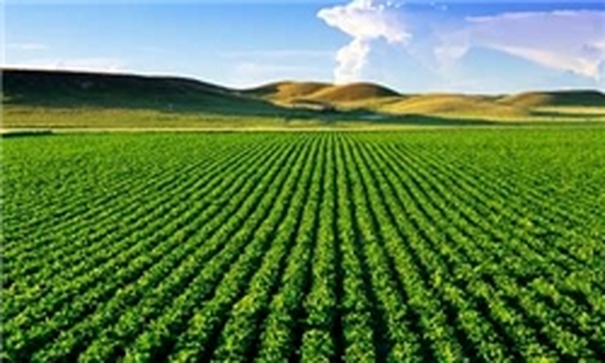زنگ کشت و کار نواخته شد