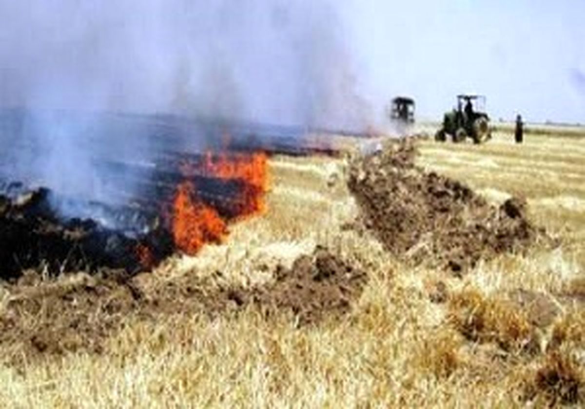 
جان باختن کشاورز 82 ساله در آتش
