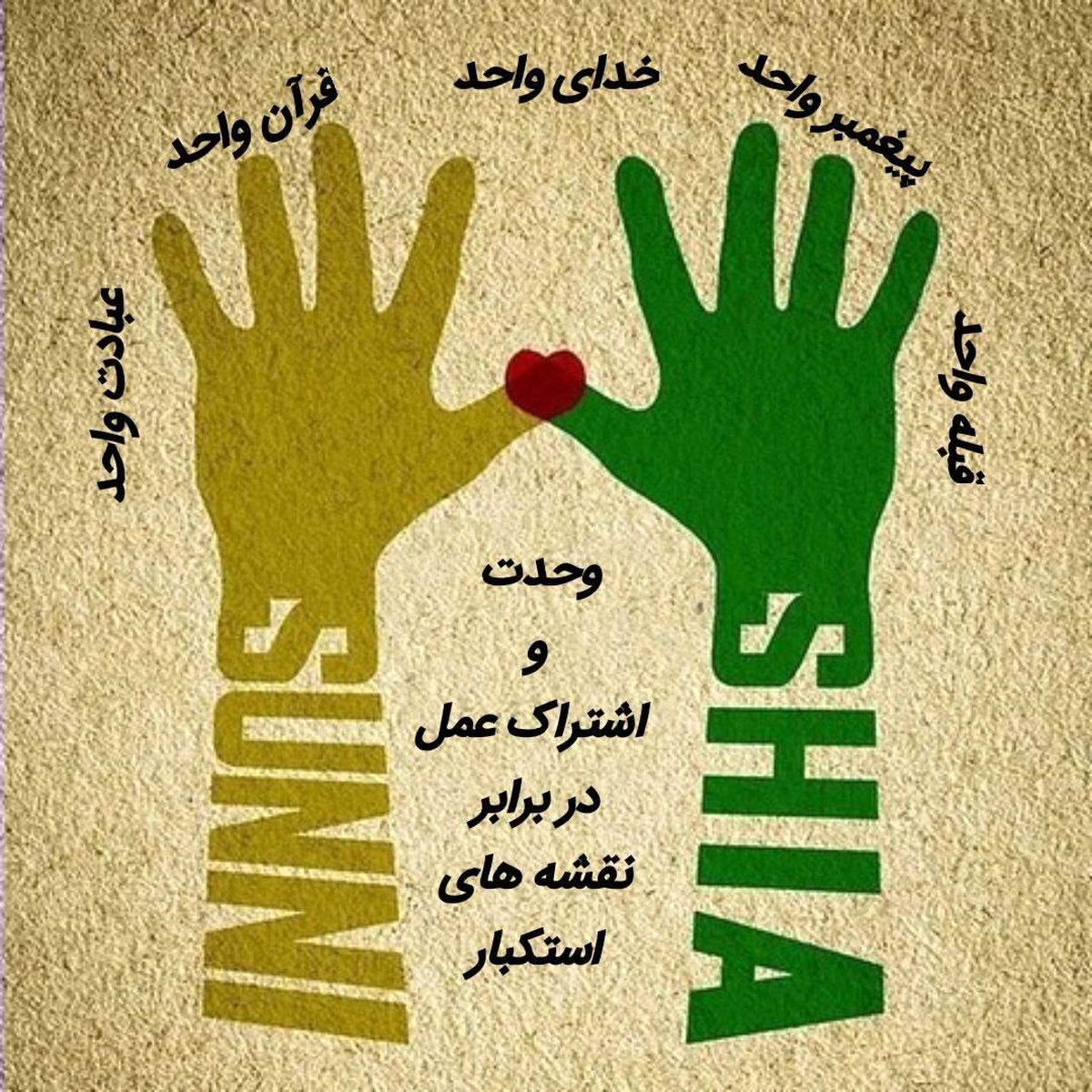 تلاش برای وحدت و تقریب بین شیعه و سنی

