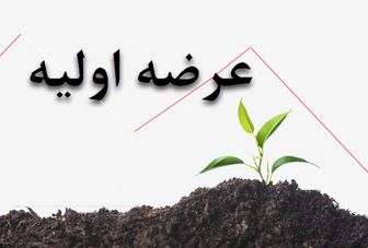دومین عرضه اولیه امسال