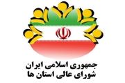 دولت و مجلس برای حل مشکلات از شوراها کمک بگیرند