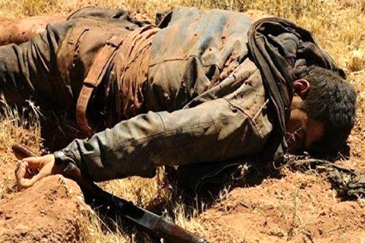 مسئول رده بالا تحریرالشام کشته شد