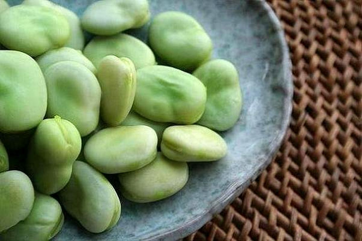 خوردن باقلا خوب است یا بد؟